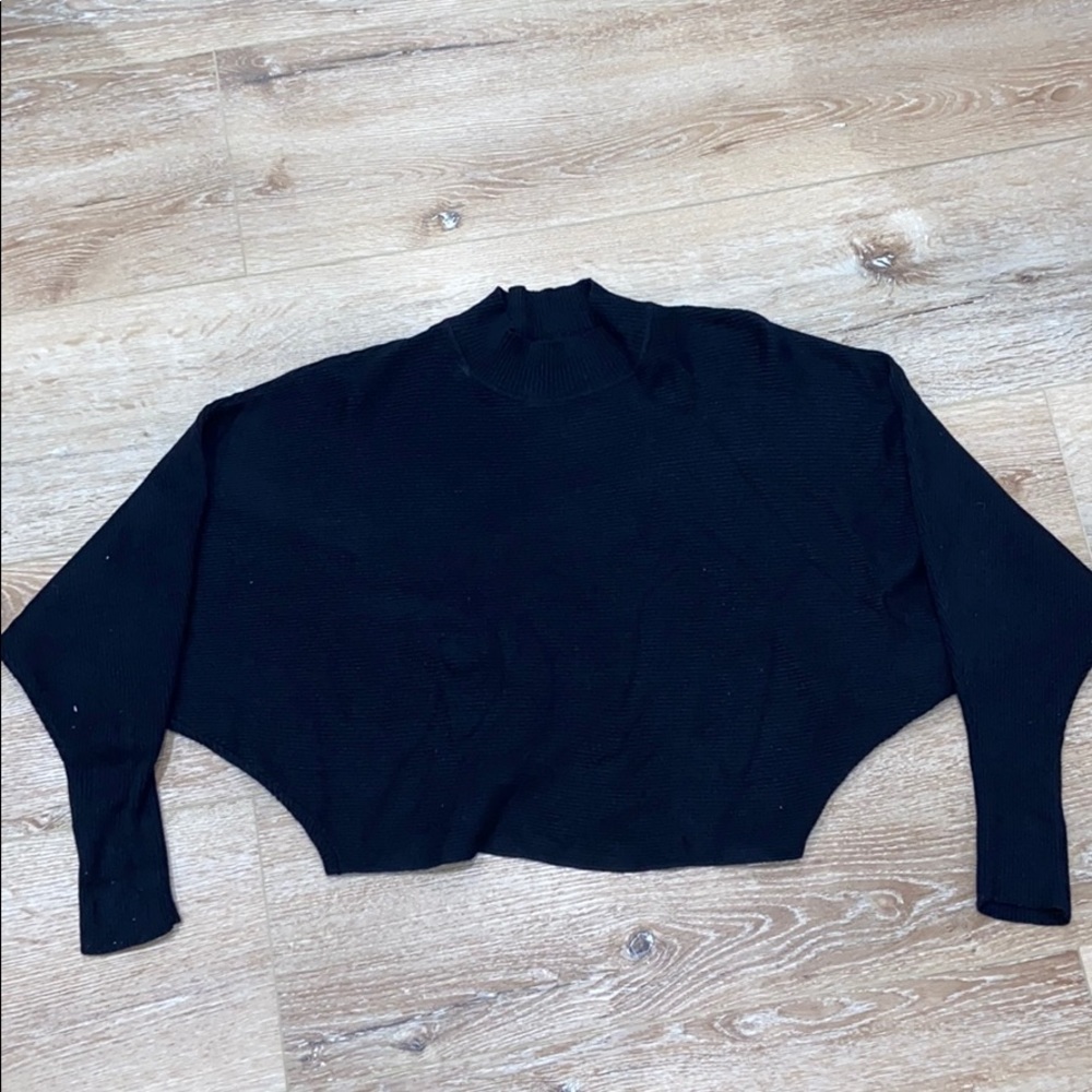 Puffy Sleeve Zara Sweater